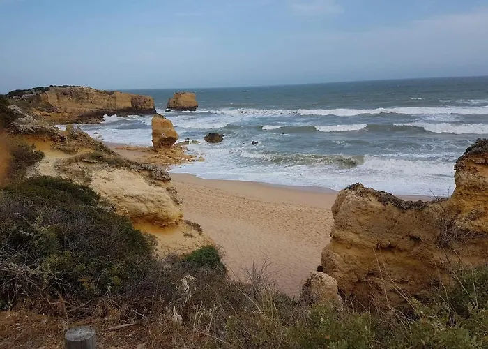 Boas-vindas بيت شباب البوفيرا